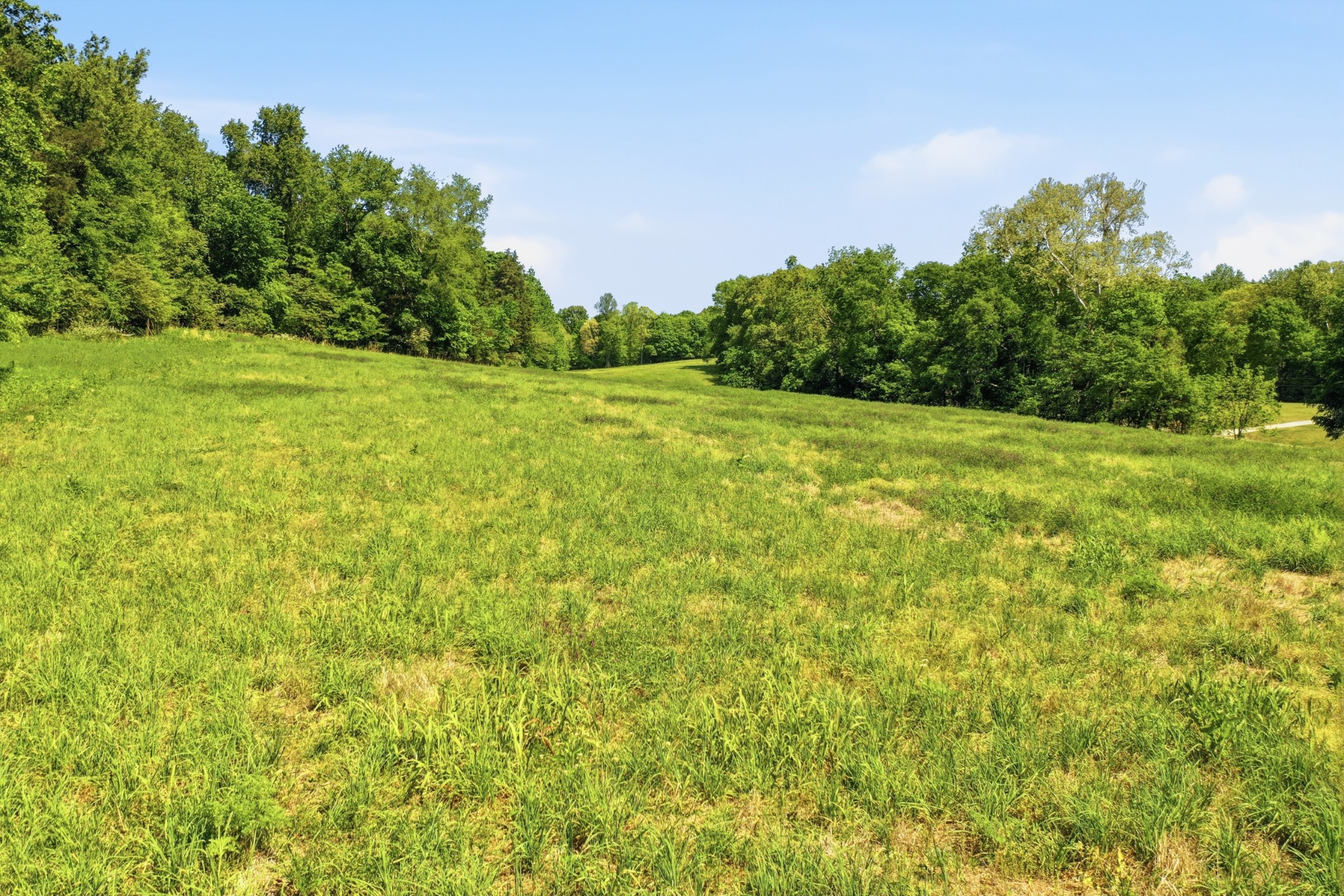 7 Gholson Road Clarksville TN 37043