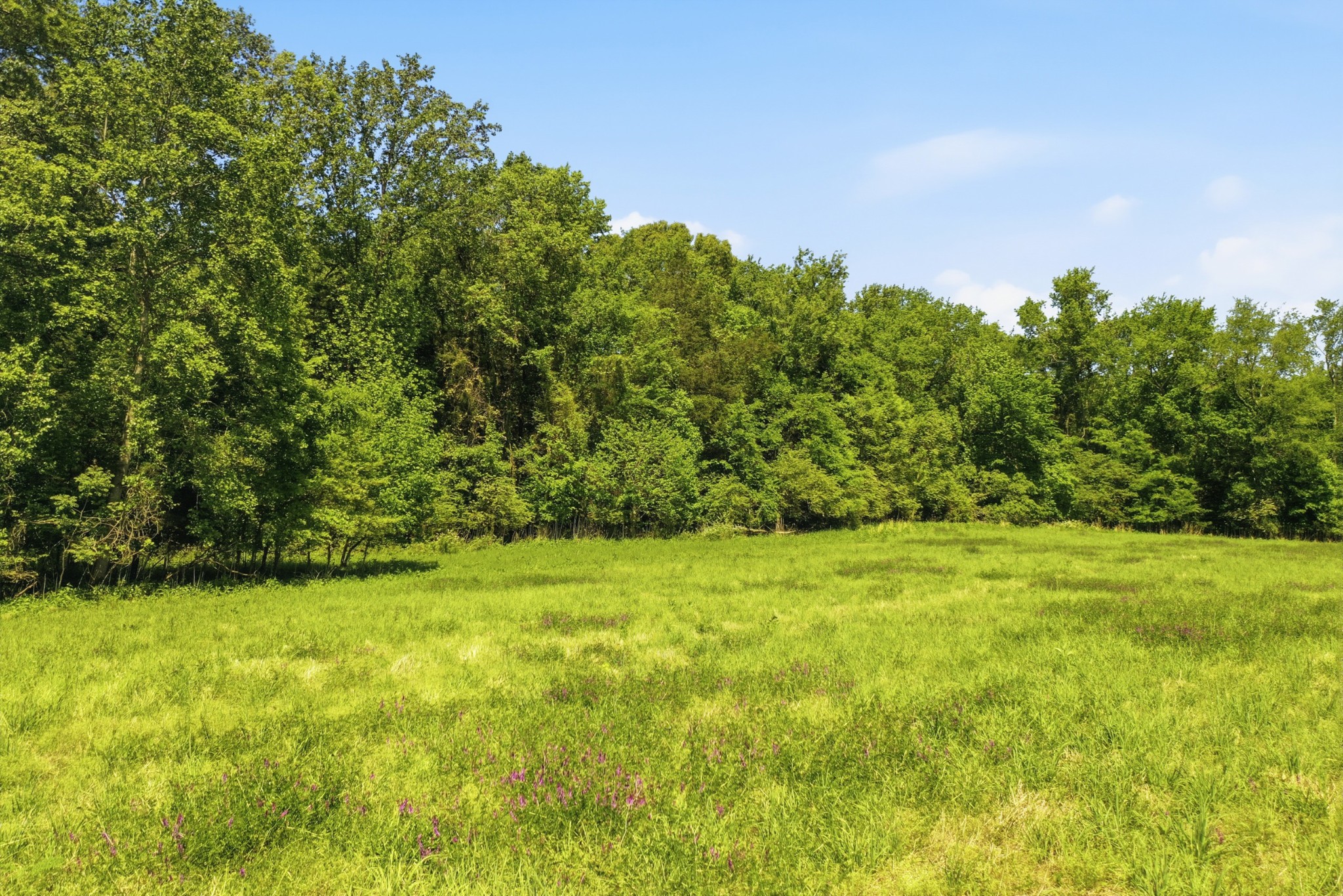 7 Gholson Road Clarksville TN 37043