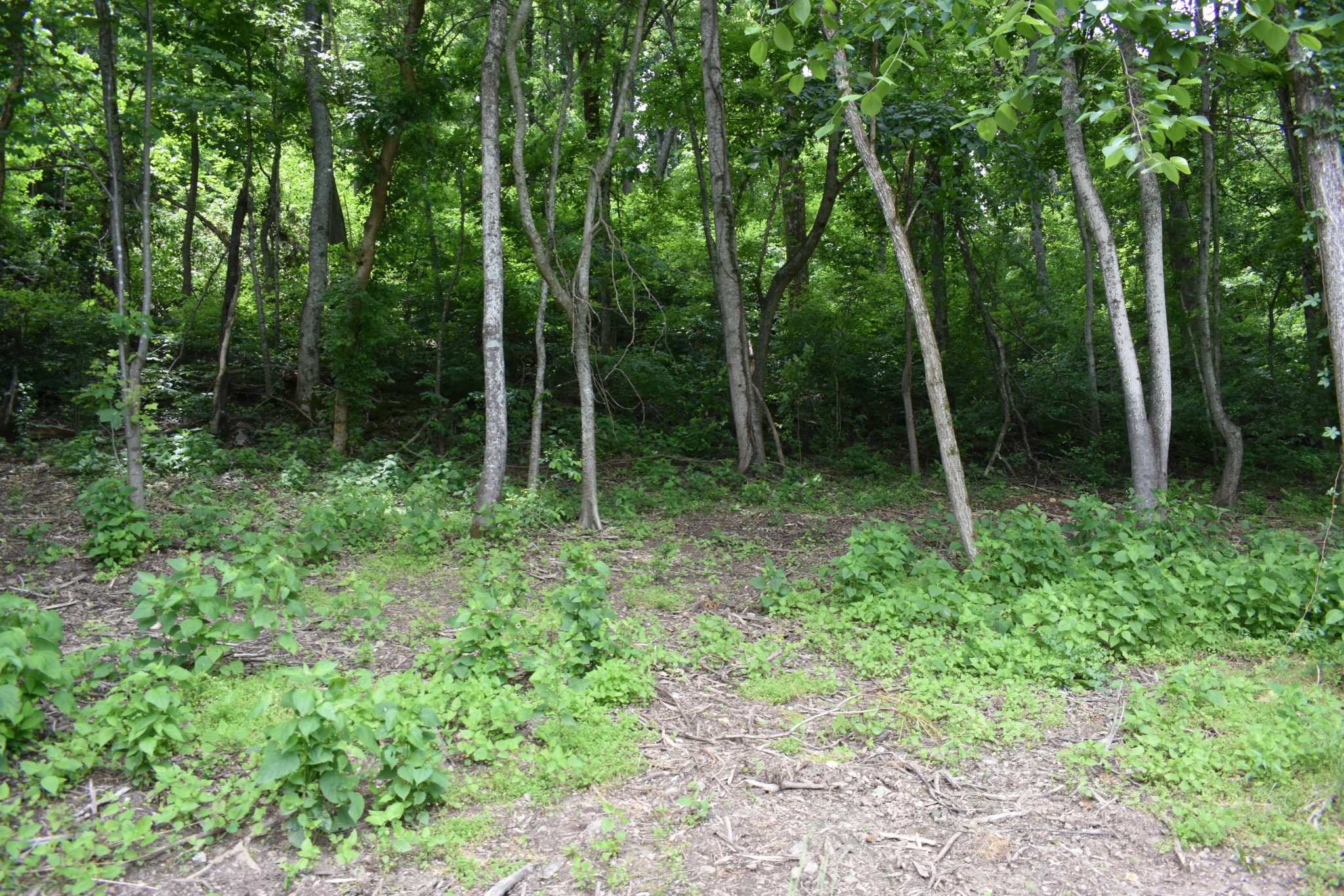 0 Turkey Creek Highway Carthage TN 37030