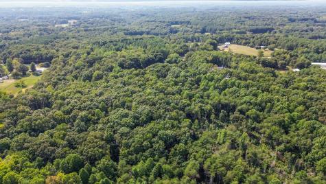 7936 Crow Cut Road Fairview TN 37062