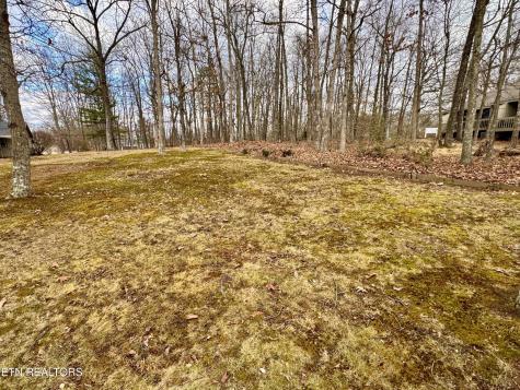 119 Eagle Lane Crossville TN 38558