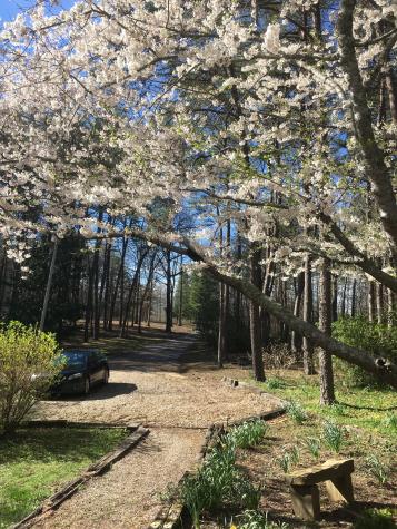 374 Monteagle Falls Road Monteagle TN 37356