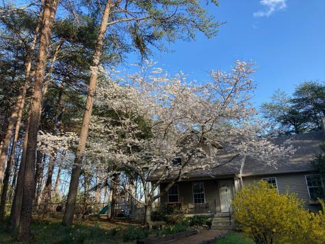 374 Monteagle Falls Road Monteagle TN 37356