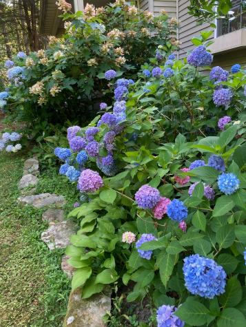 374 Monteagle Falls Road Monteagle TN 37356