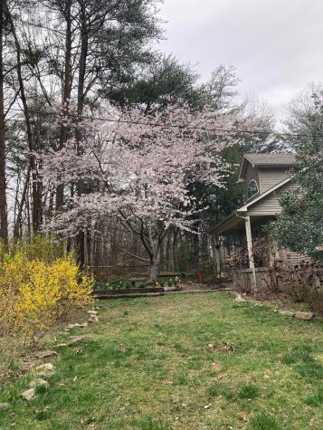 374 Monteagle Falls Road Monteagle TN 37356