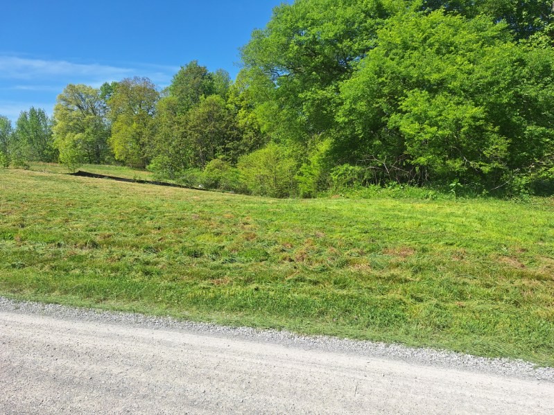 0 Lake Bluff Red Baxter TN 38544