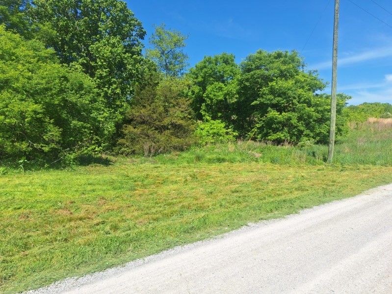 0 Lake Bluff Red Baxter TN 38544