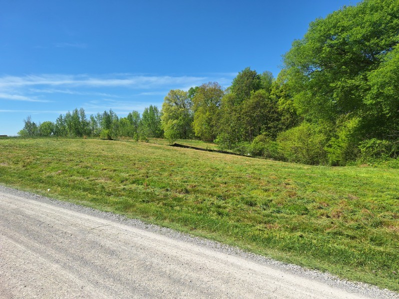0 Lake Bluff Red Baxter TN 38544