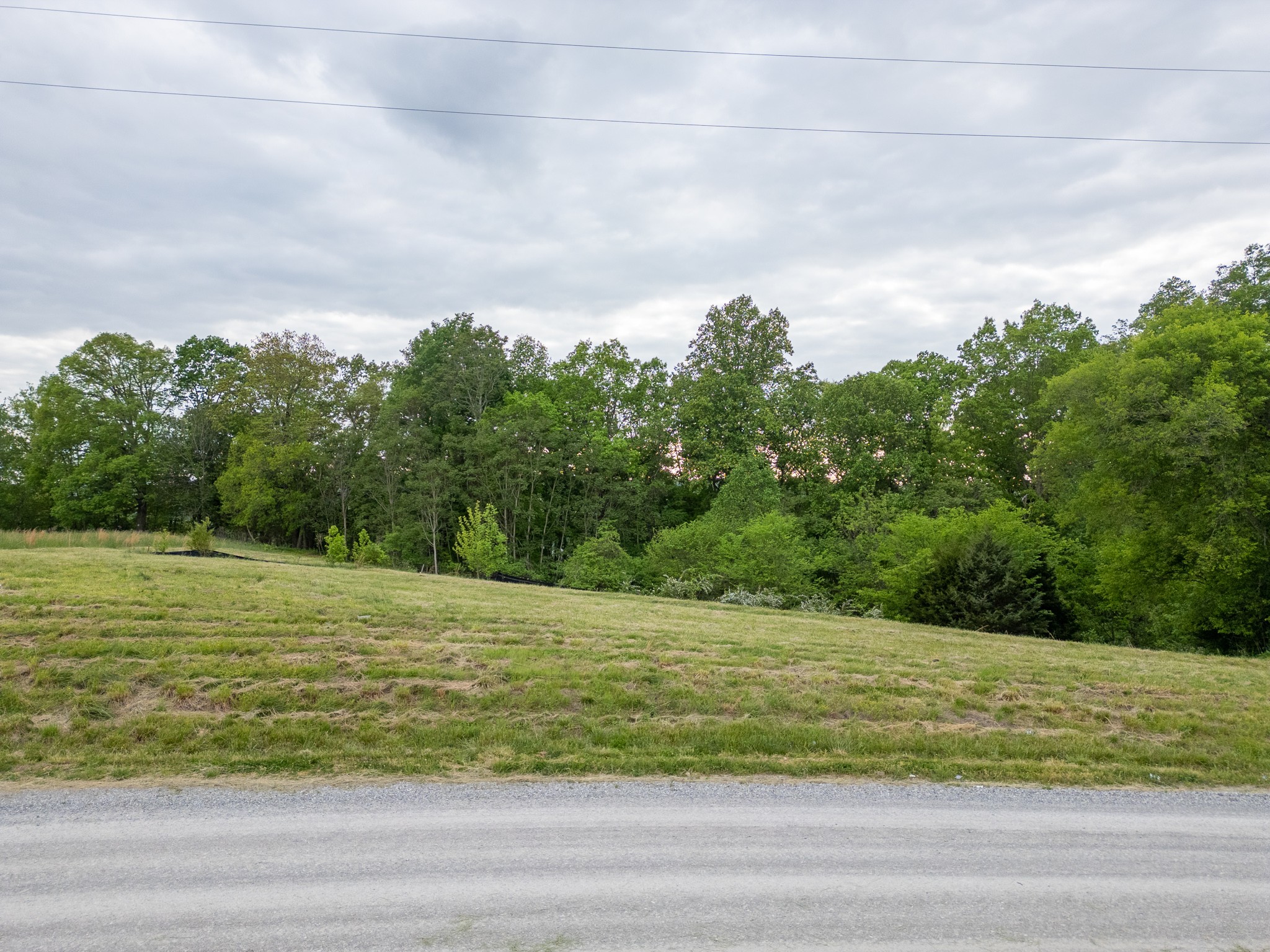 0 Lake Bluff Red Baxter TN 38544
