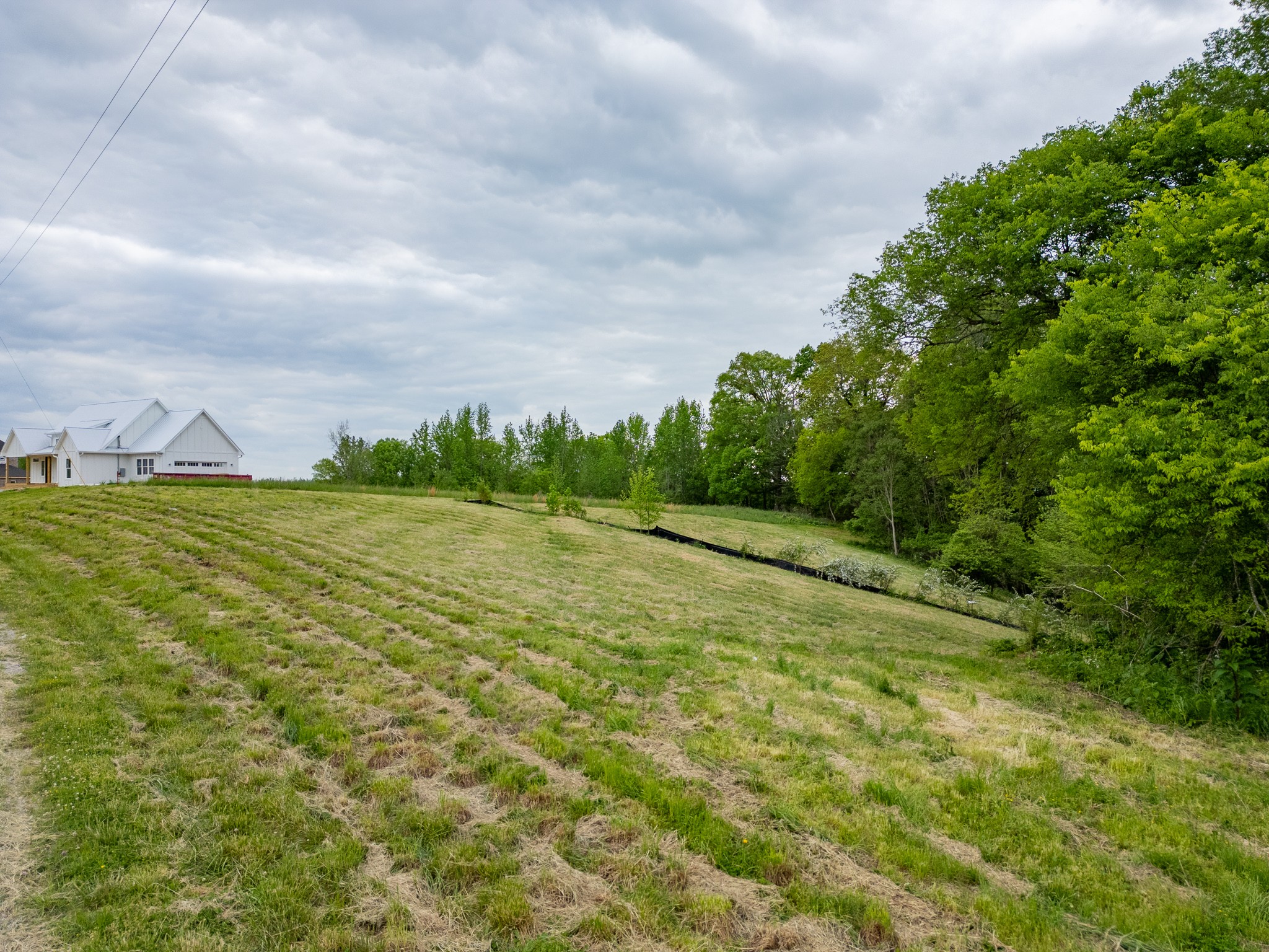 0 Lake Bluff Red Baxter TN 38544