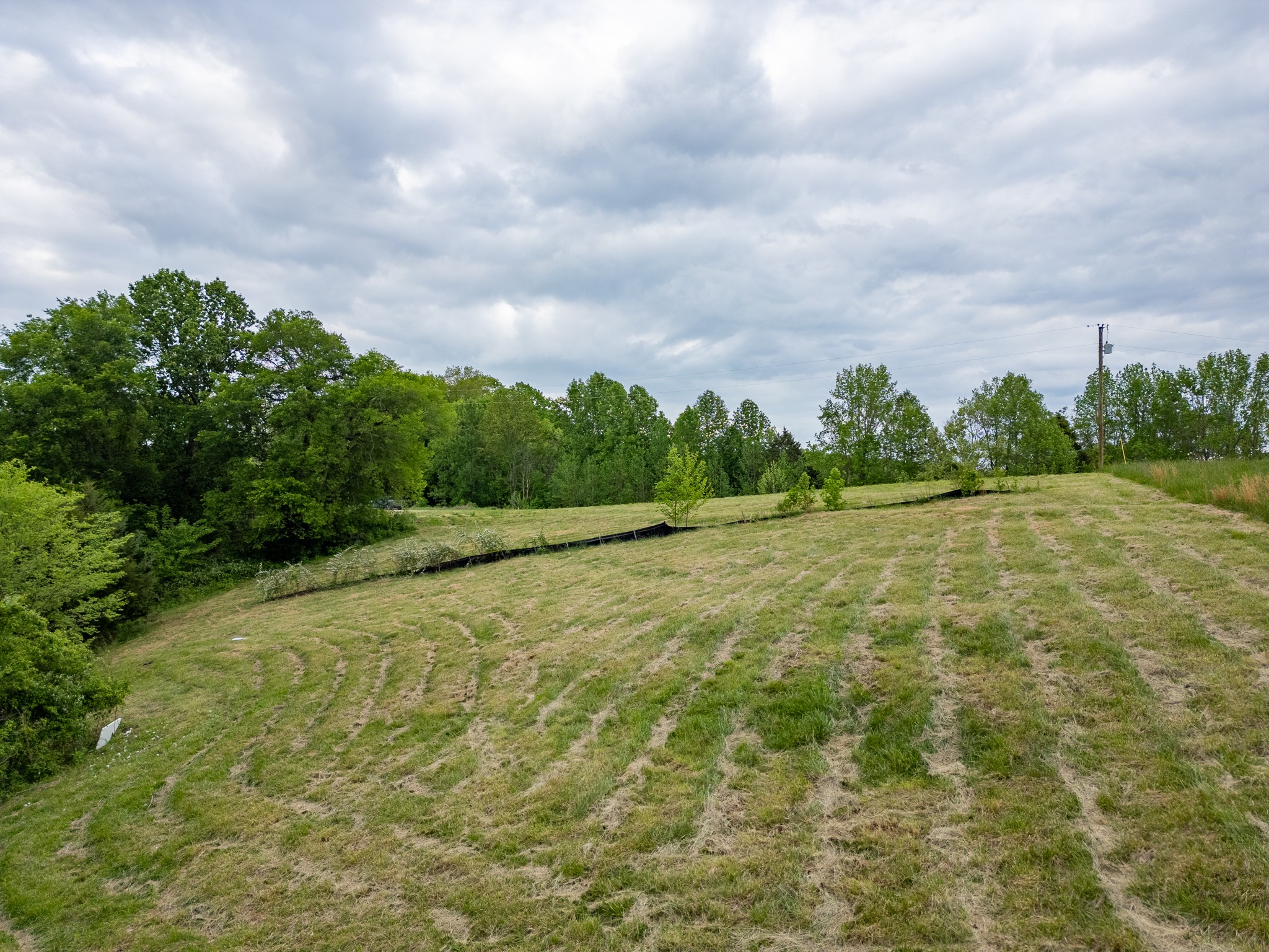 0 Lake Bluff Red Baxter TN 38544