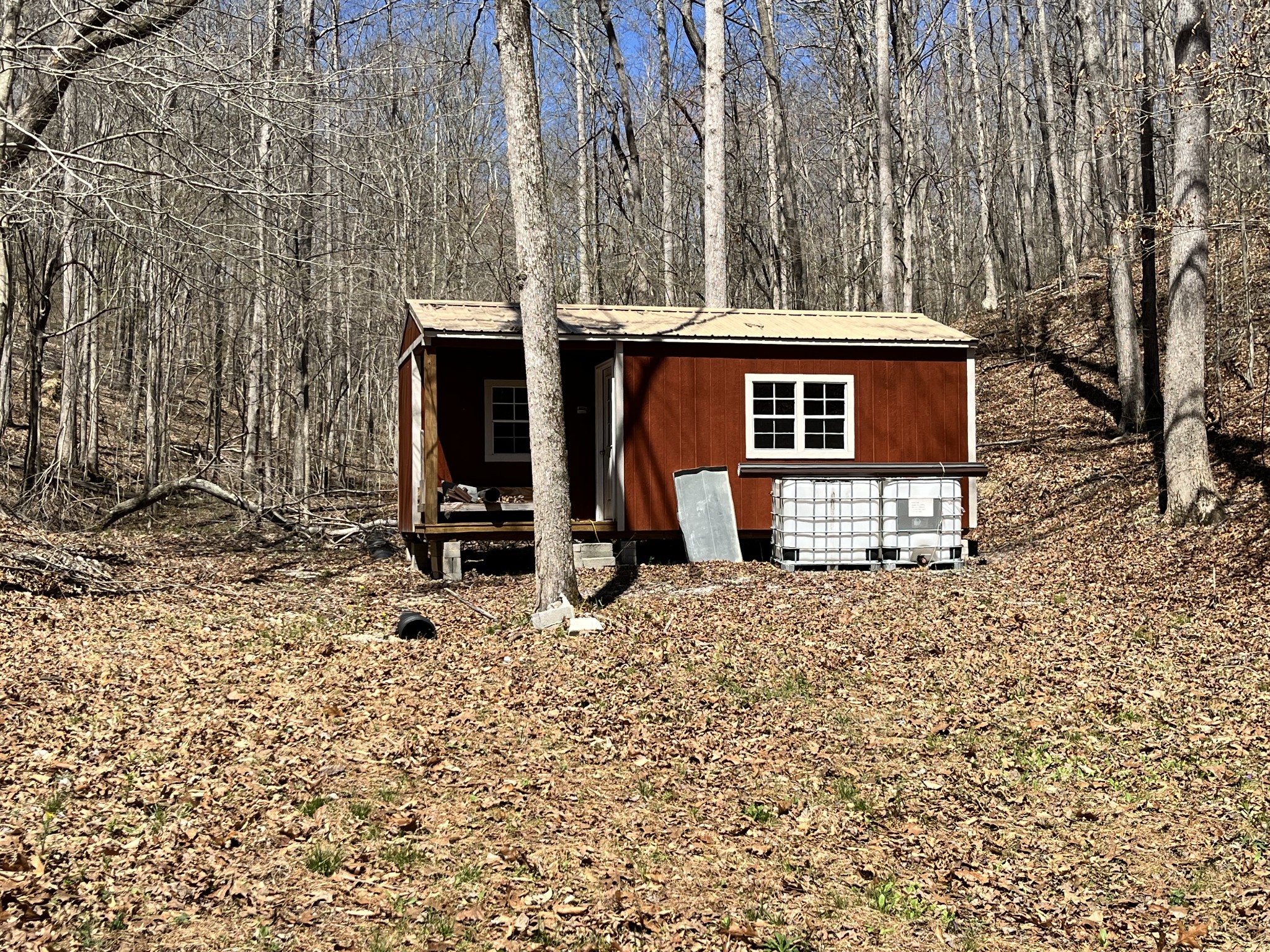 176 Golden View Lane Hampshire TN 38461