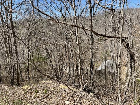 176 Golden View Lane Hampshire TN 38461