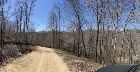 176 Golden View Lane Hampshire TN 38461