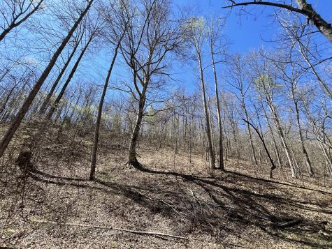 176 Golden View Lane Hampshire TN 38461