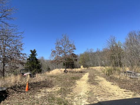 176 Golden View Lane Hampshire TN 38461