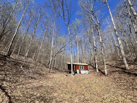 176 Golden View Lane Hampshire TN 38461