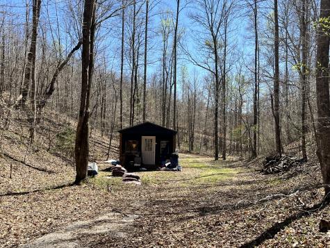 176 Golden View Lane Hampshire TN 38461