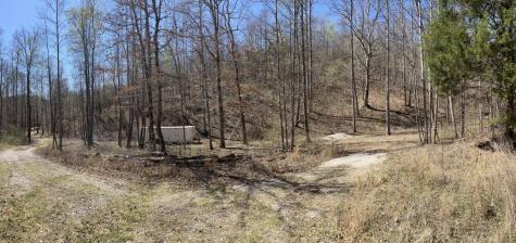 176 Golden View Lane Hampshire TN 38461