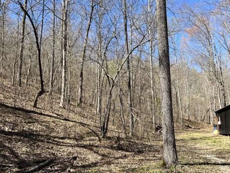 176 Golden View Lane Hampshire TN 38461