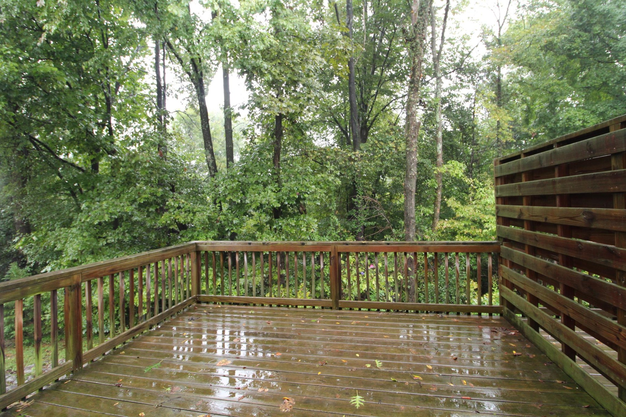 531 Peachers Ridge Clarksville TN 37042