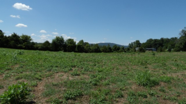 0 Ranchside Court Rock Island TN 38581