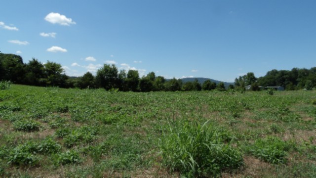 0 Ranchside Court Rock Island TN 38581
