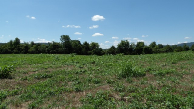 0 Ranchside Court Rock Island TN 38581