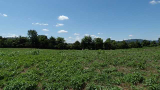 0 Ranchside Court Rock Island TN 38581