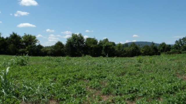 0 Ranchside Court Rock Island TN 38581