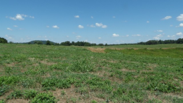 0 Ranchside Court Rock Island TN 38581