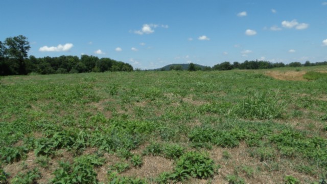 0 Ranchside Court Rock Island TN 38581