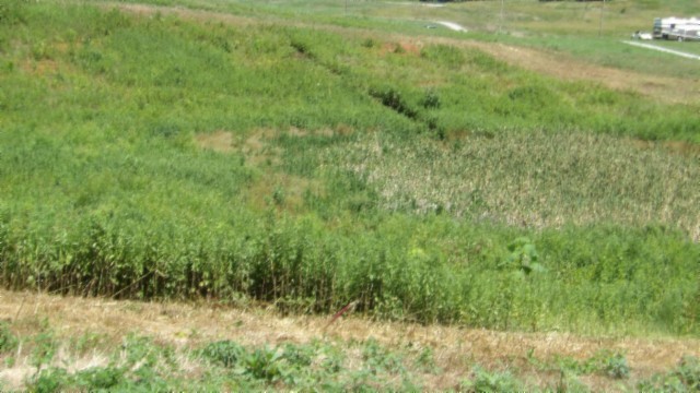 0 Ranchside Court Rock Island TN 38581