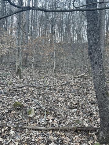 0 Back Bone Road Sparta TN 38583