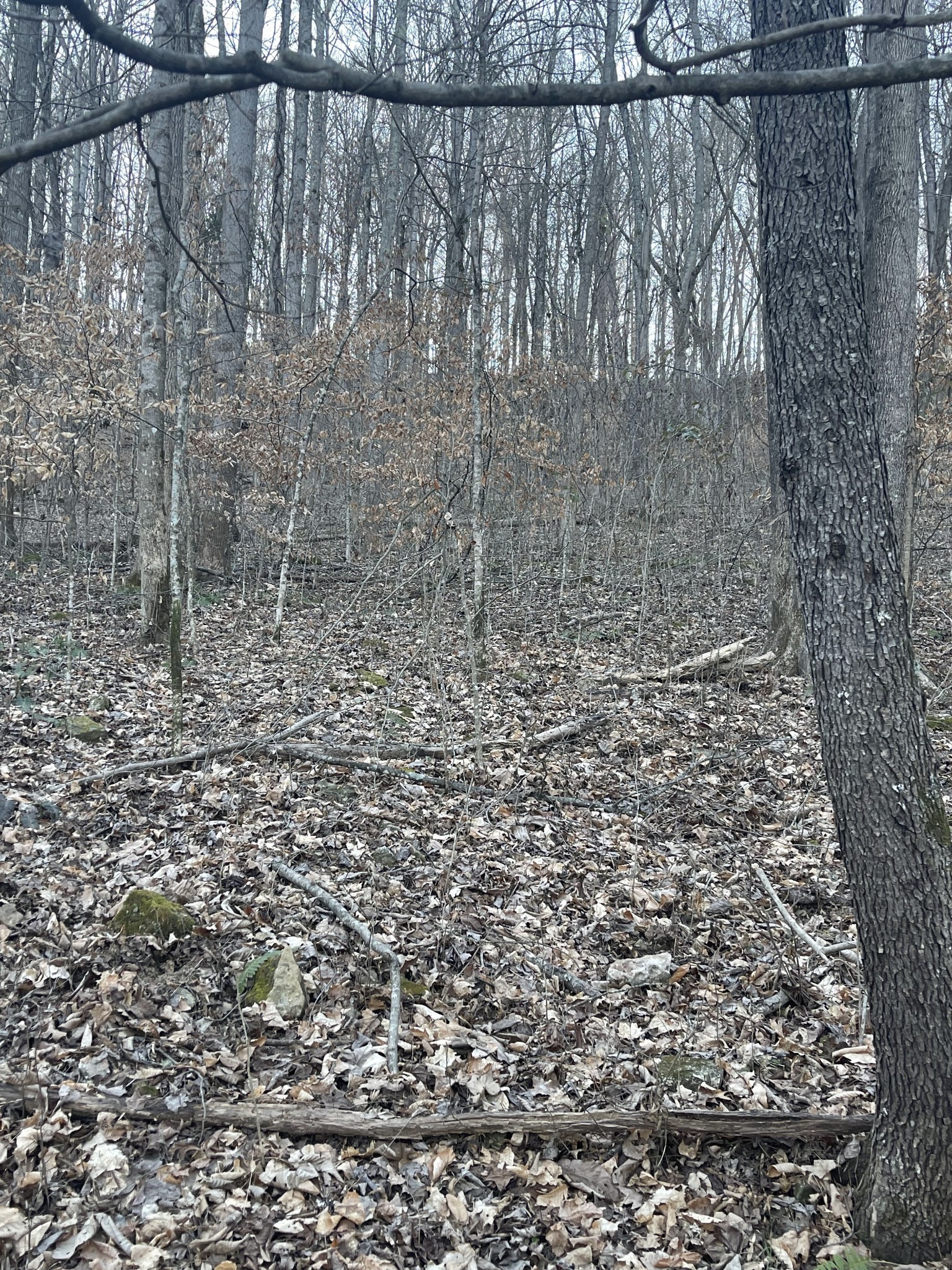 0 Back Bone Road Sparta TN 38583
