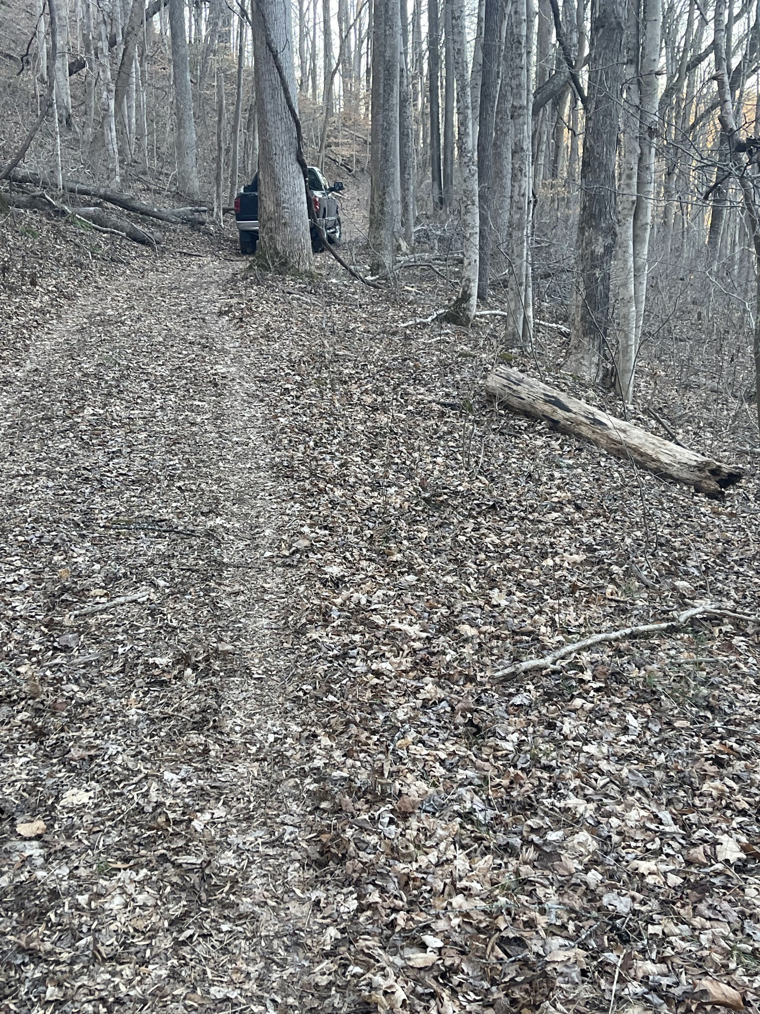 0 Back Bone Road Sparta TN 38583