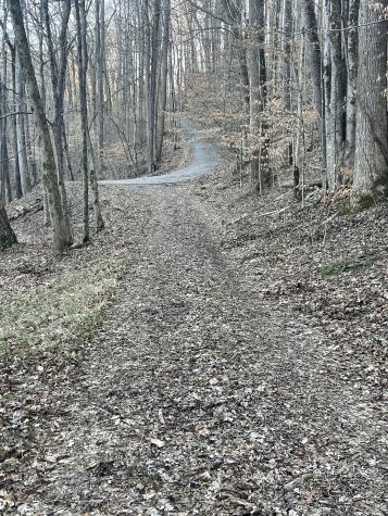 0 Back Bone Road Sparta TN 38583