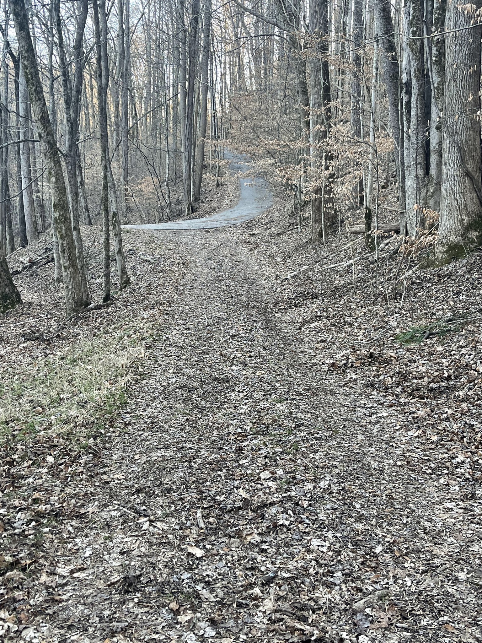 0 Back Bone Road Sparta TN 38583