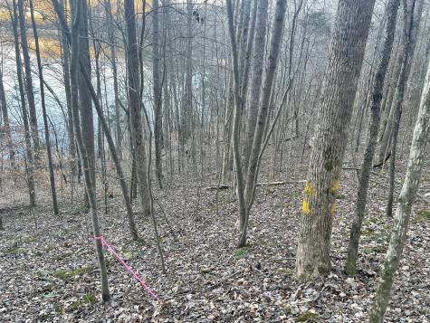 0 Back Bone Road Sparta TN 38583