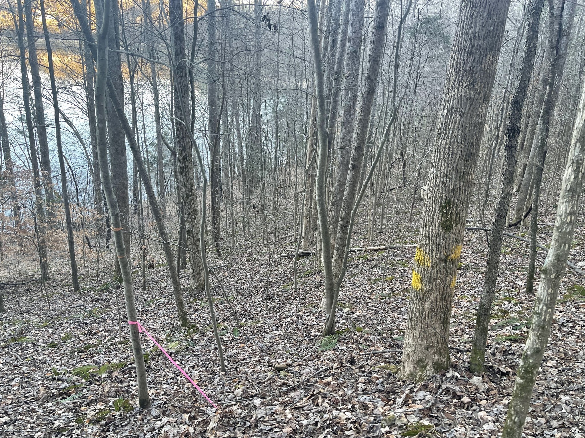 0 Back Bone Road Sparta TN 38583