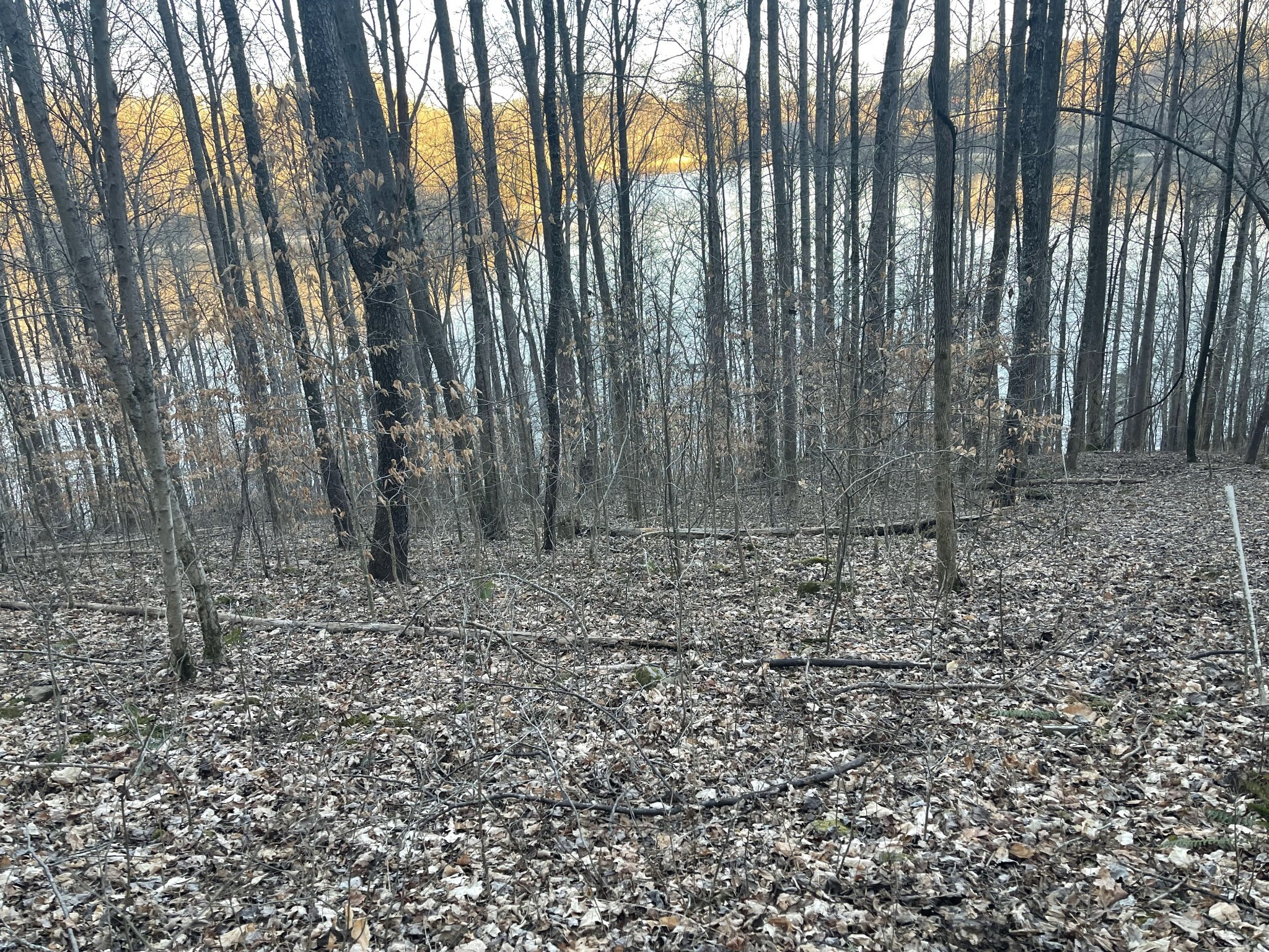 0 Back Bone Road Sparta TN 38583