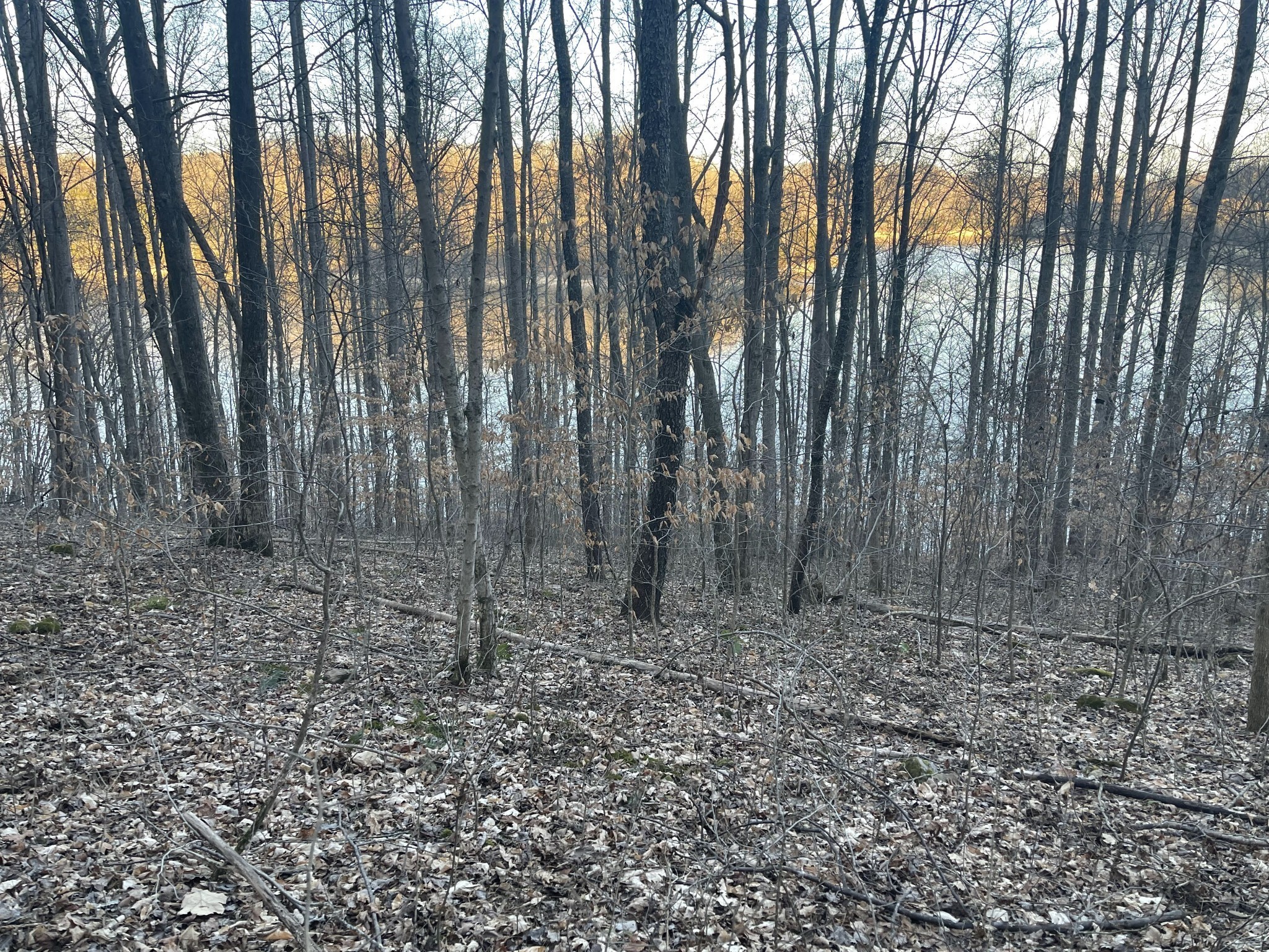0 Back Bone Road Sparta TN 38583
