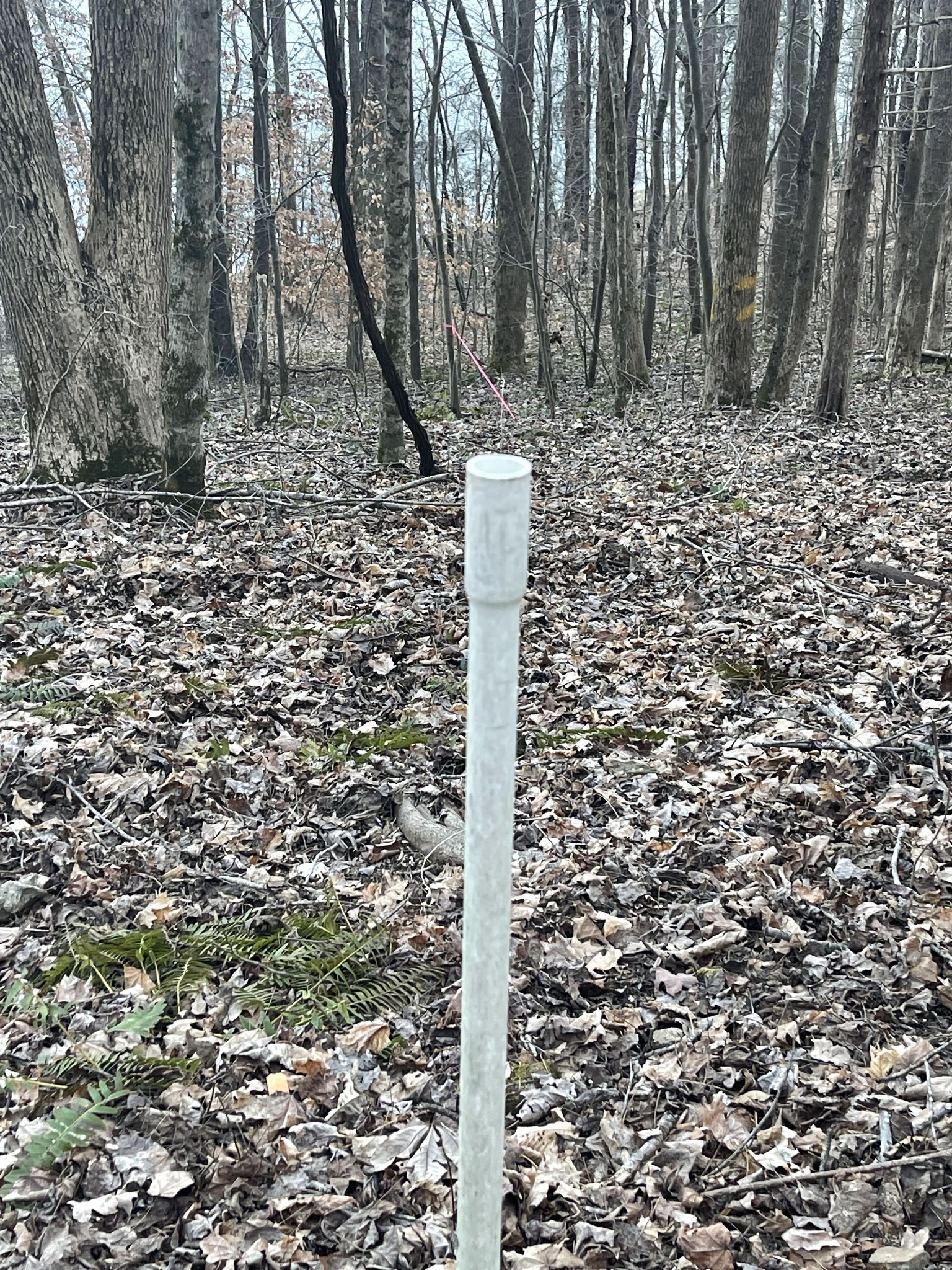 0 Back Bone Road Sparta TN 38583