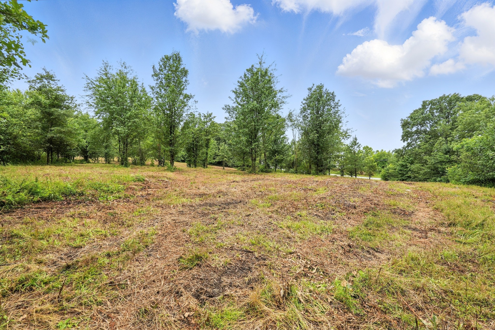 0 Skyline Circle Dickson TN 37055