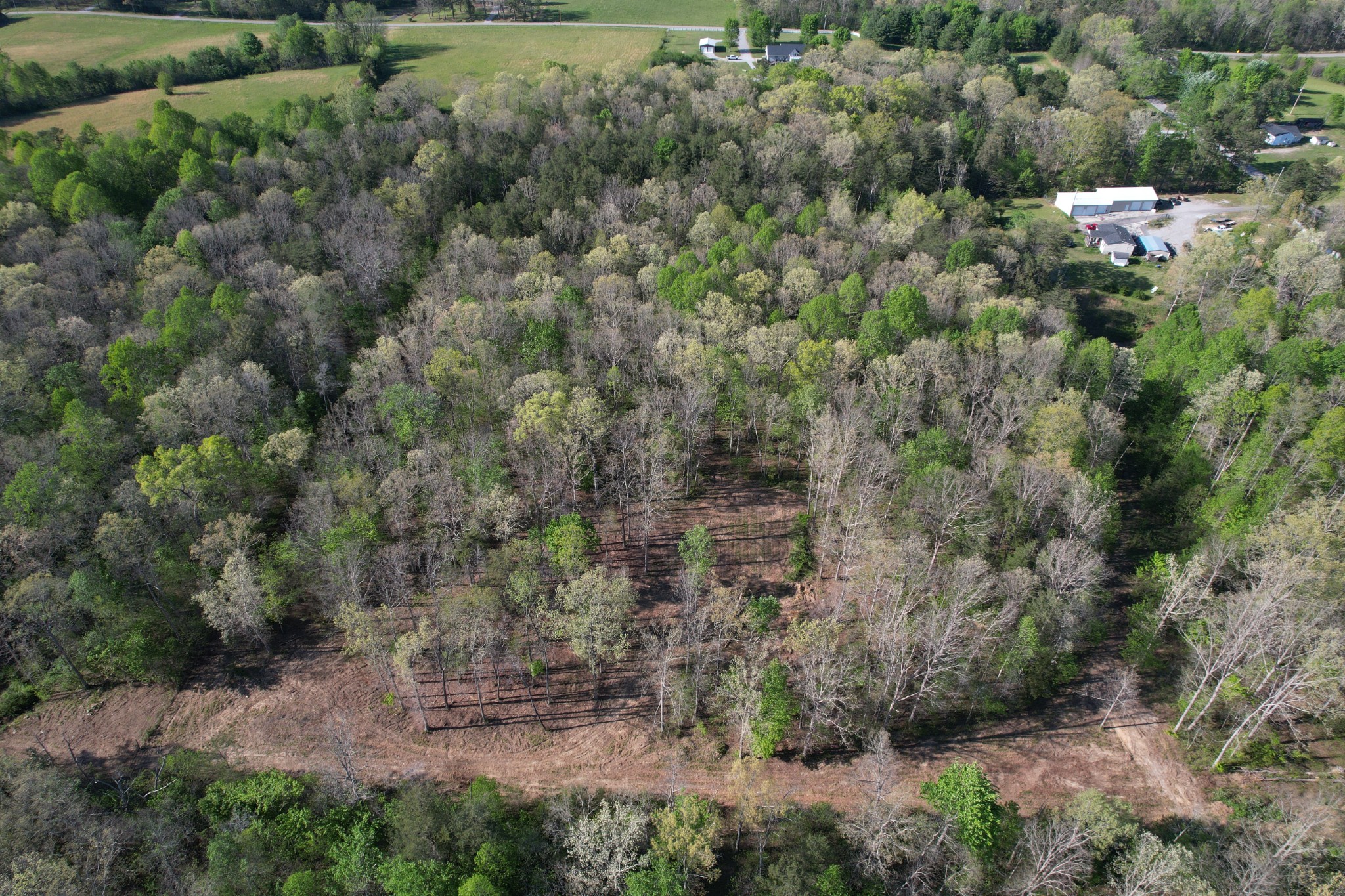 7 Fletcher Pickett Road Gruetli Laager TN 37339