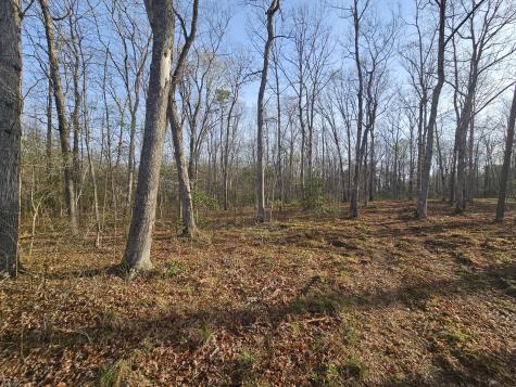 7 Fletcher Pickett Road Gruetli Laager TN 37339