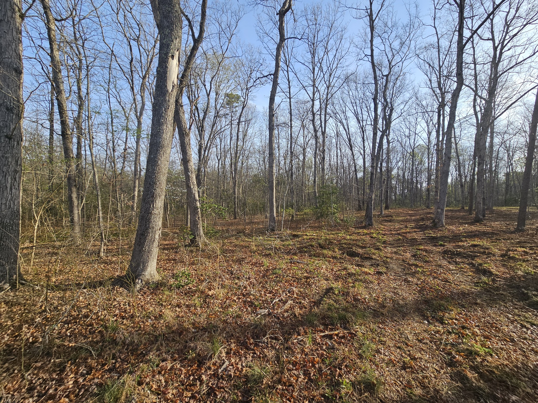 7 Fletcher Pickett Road Gruetli Laager TN 37339