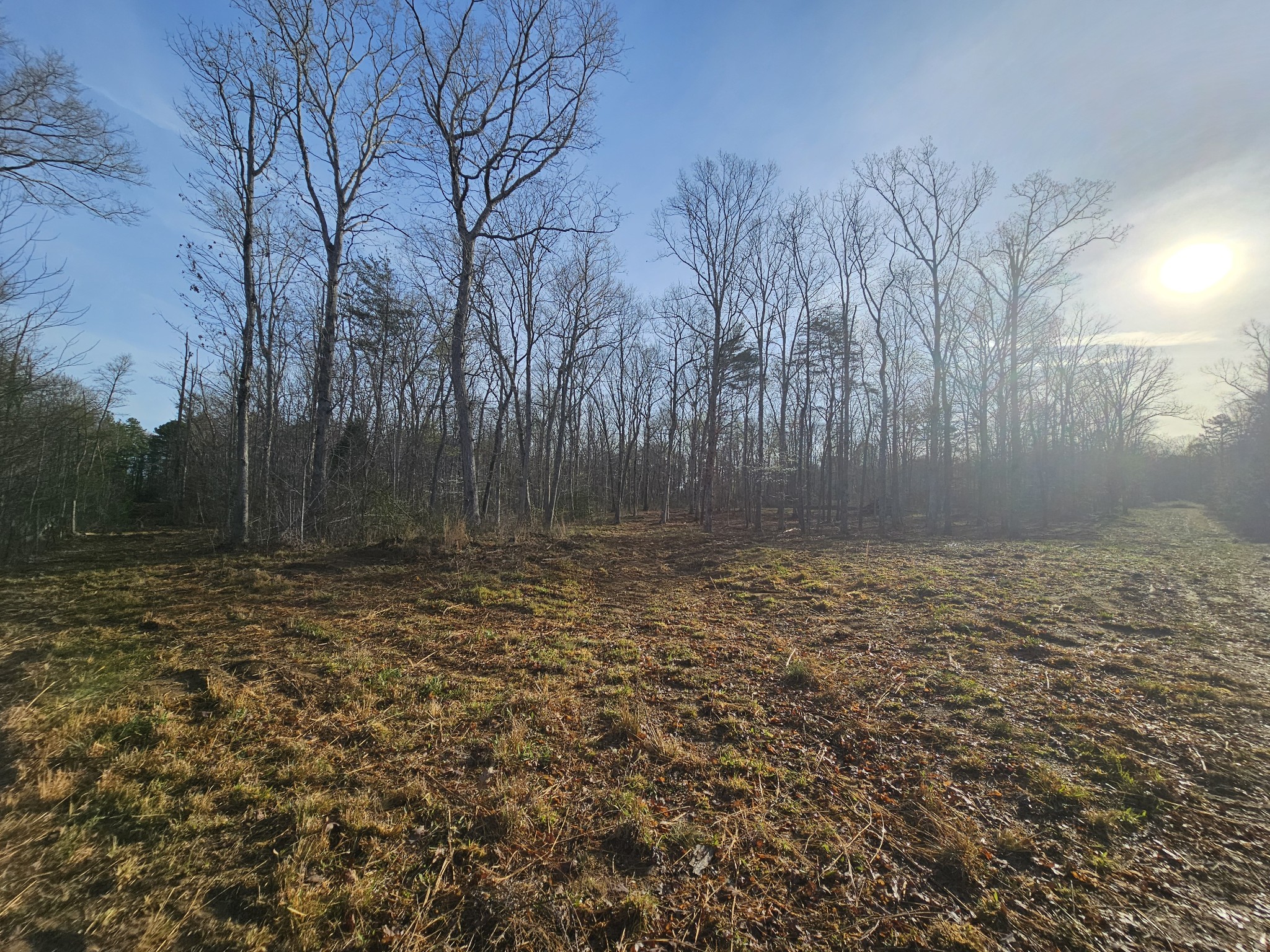 7 Fletcher Pickett Road Gruetli Laager TN 37339