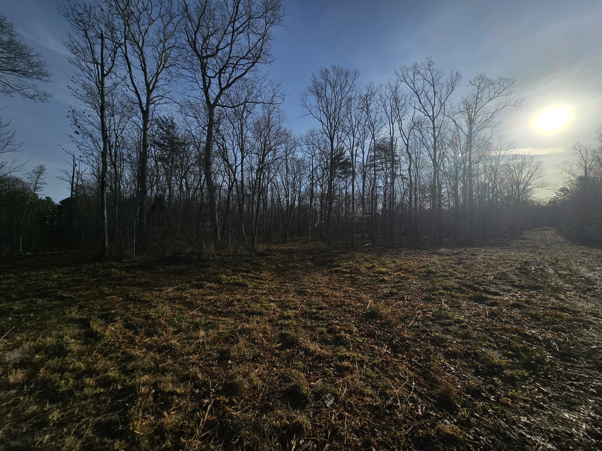 7 Fletcher Pickett Road Gruetli Laager TN 37339