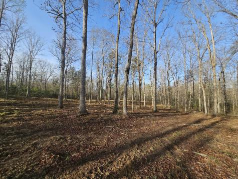 7 Fletcher Pickett Road Gruetli Laager TN 37339